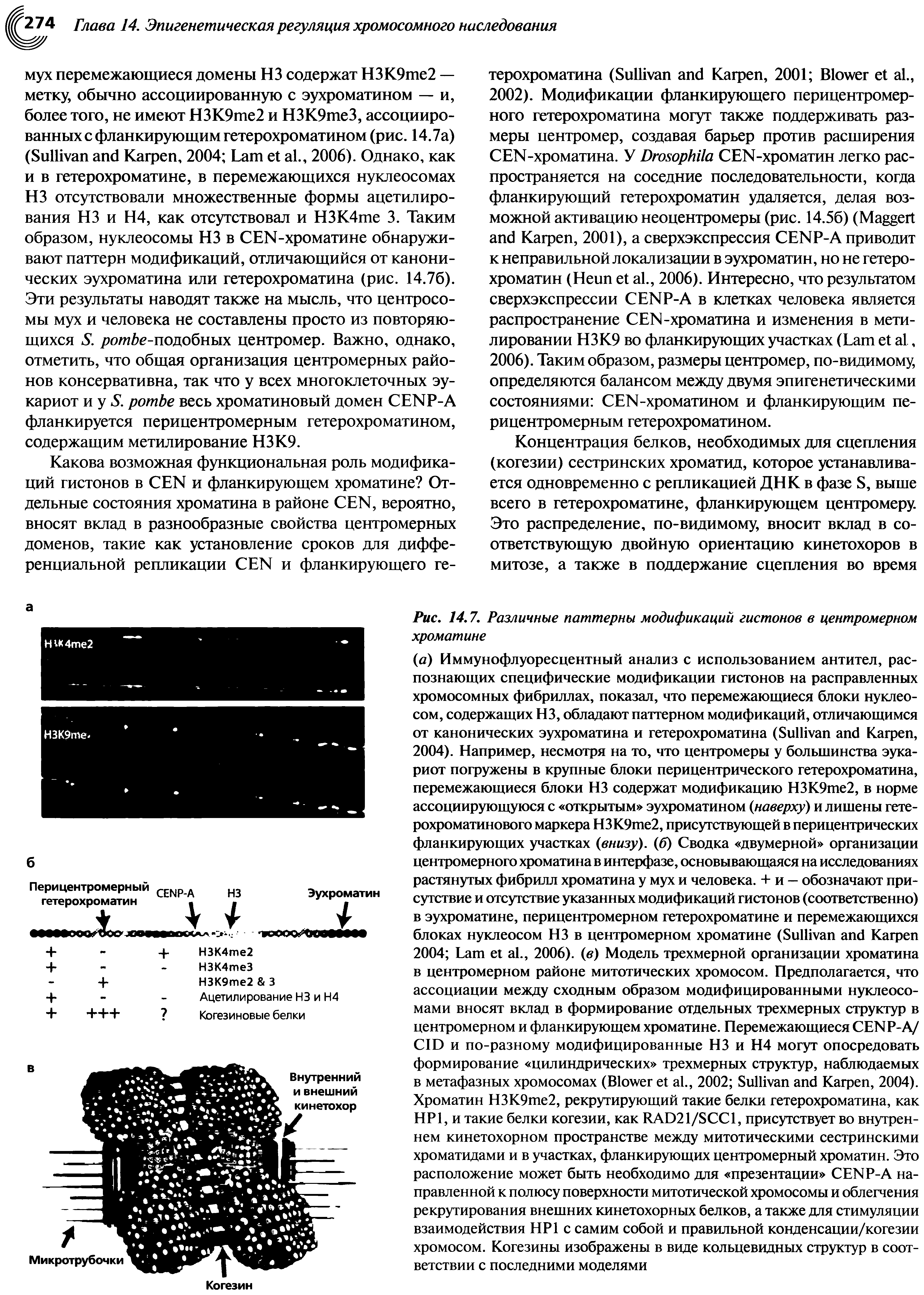 Рис. 14.7. Различные паттерны модификаций гистонов в центромерном хроматине...