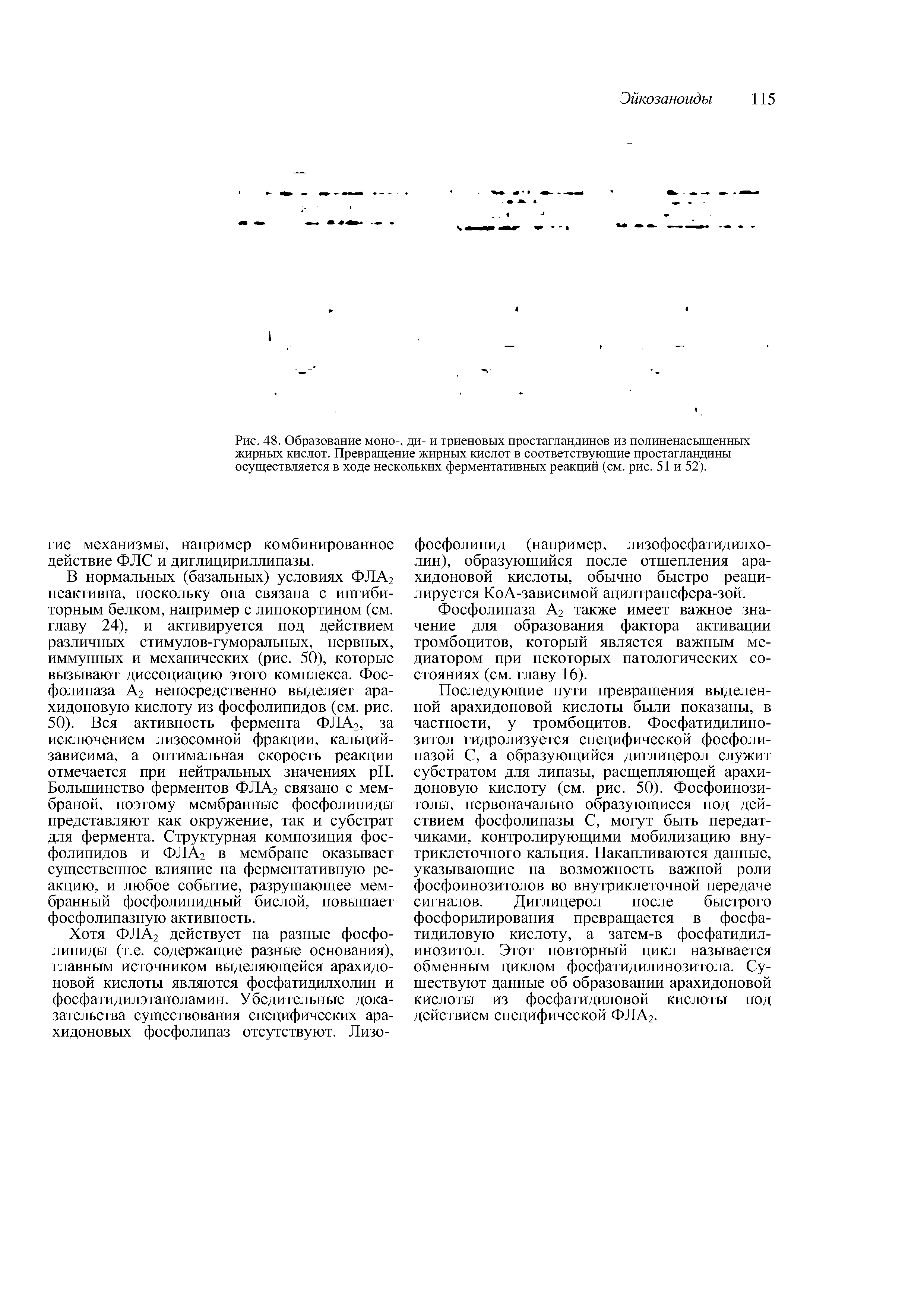 Рис. 48. Образование моно-, ди- и триеновых простагландинов из полиненасыщенных жирных кислот. Превращение жирных кислот в соответствующие простагландины осуществляется в ходе нескольких ферментативных реакций (см. рис. 51 и 52).