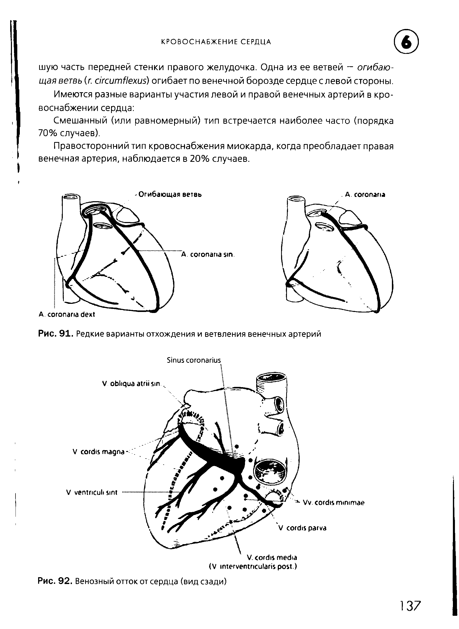 Рис. 91. Редкие варианты отхождения и ветвления венечных артерий...