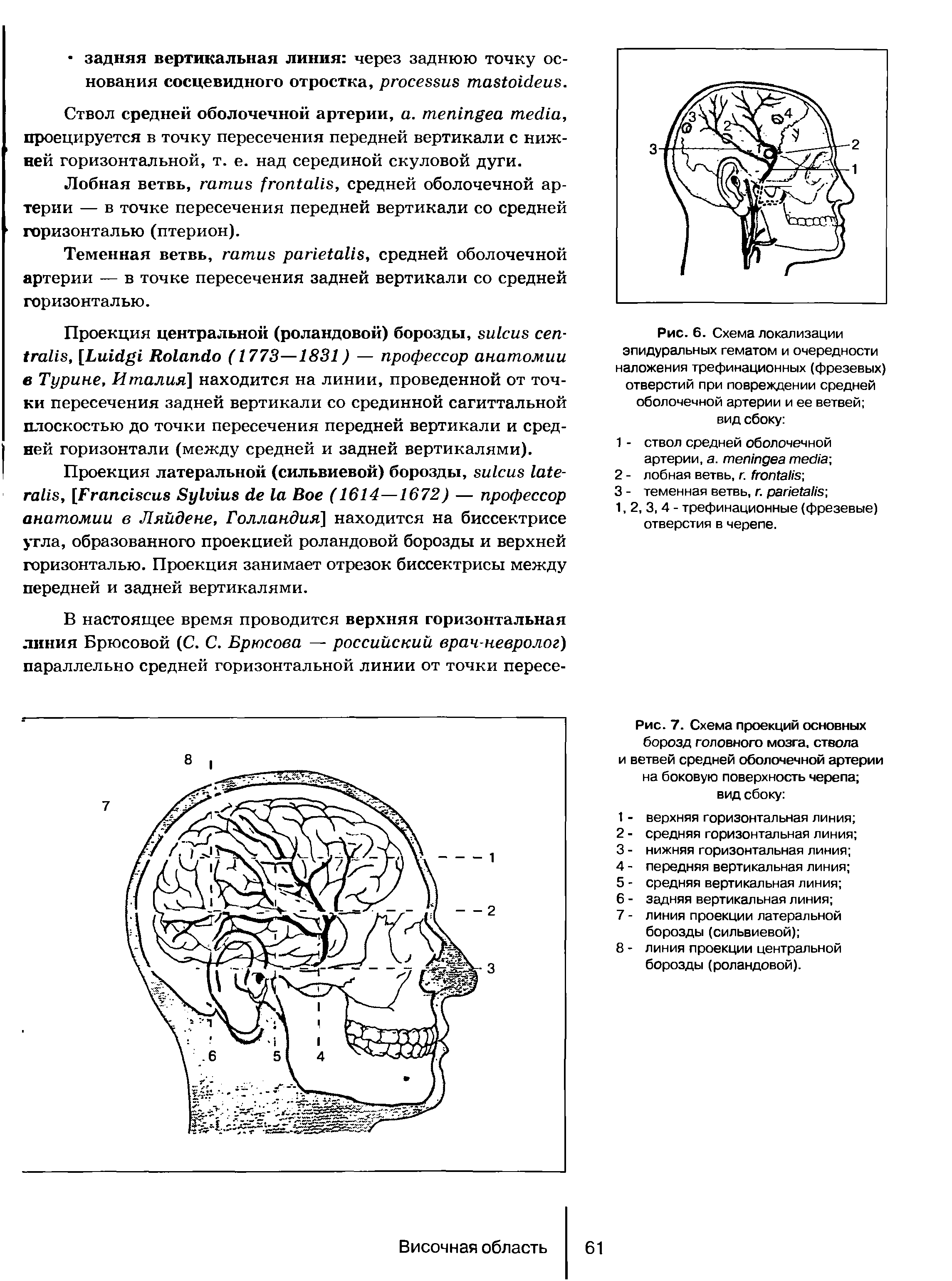 Рис. 7. Схема проекций основных борозд головного мозга, ствола и ветвей средней оболочечной артерии на боковую поверхность черепа вид сбоку ...