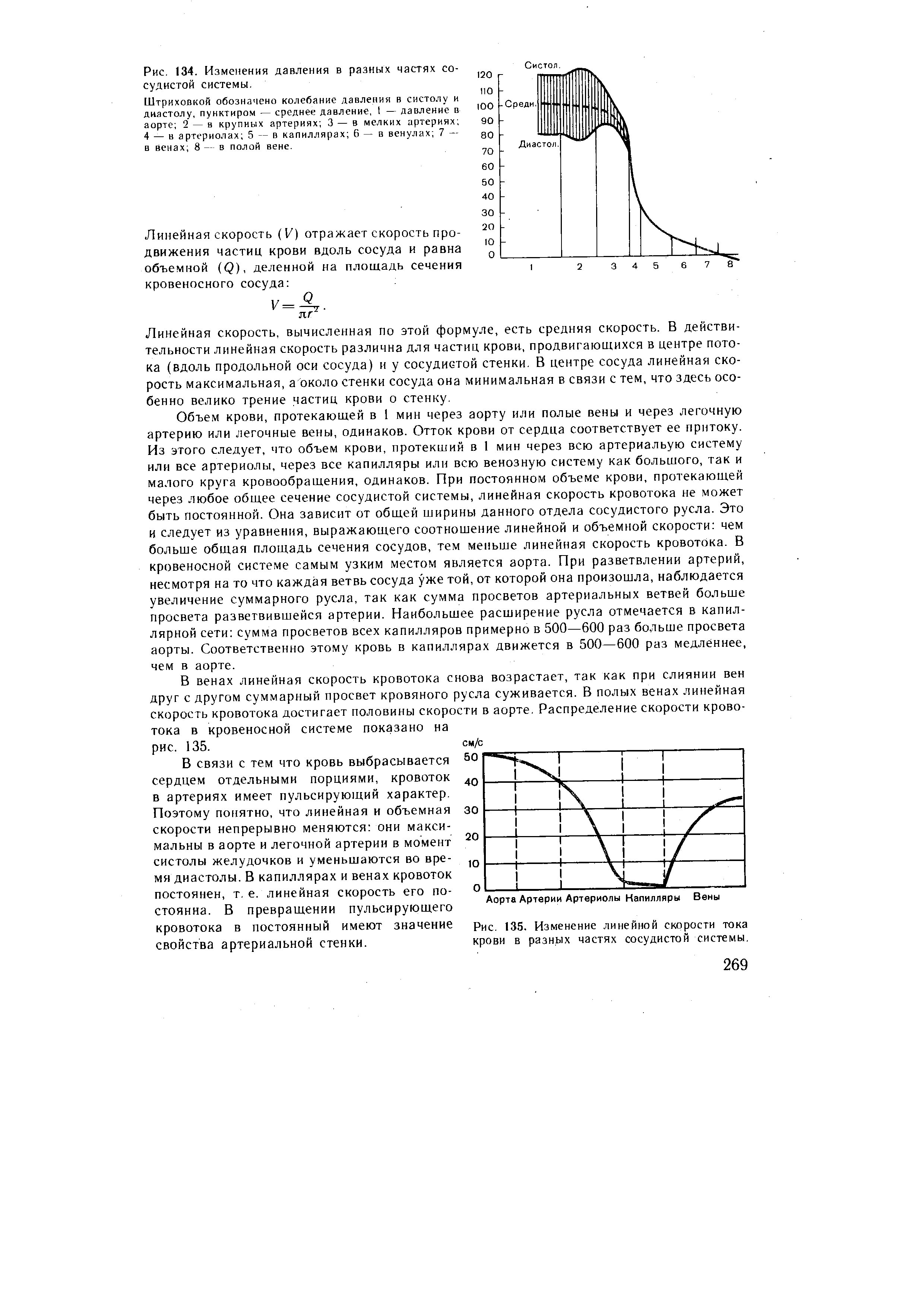 Рис. 135. Изменение линейной скорости тока крови в разных частях сосудистой системы.