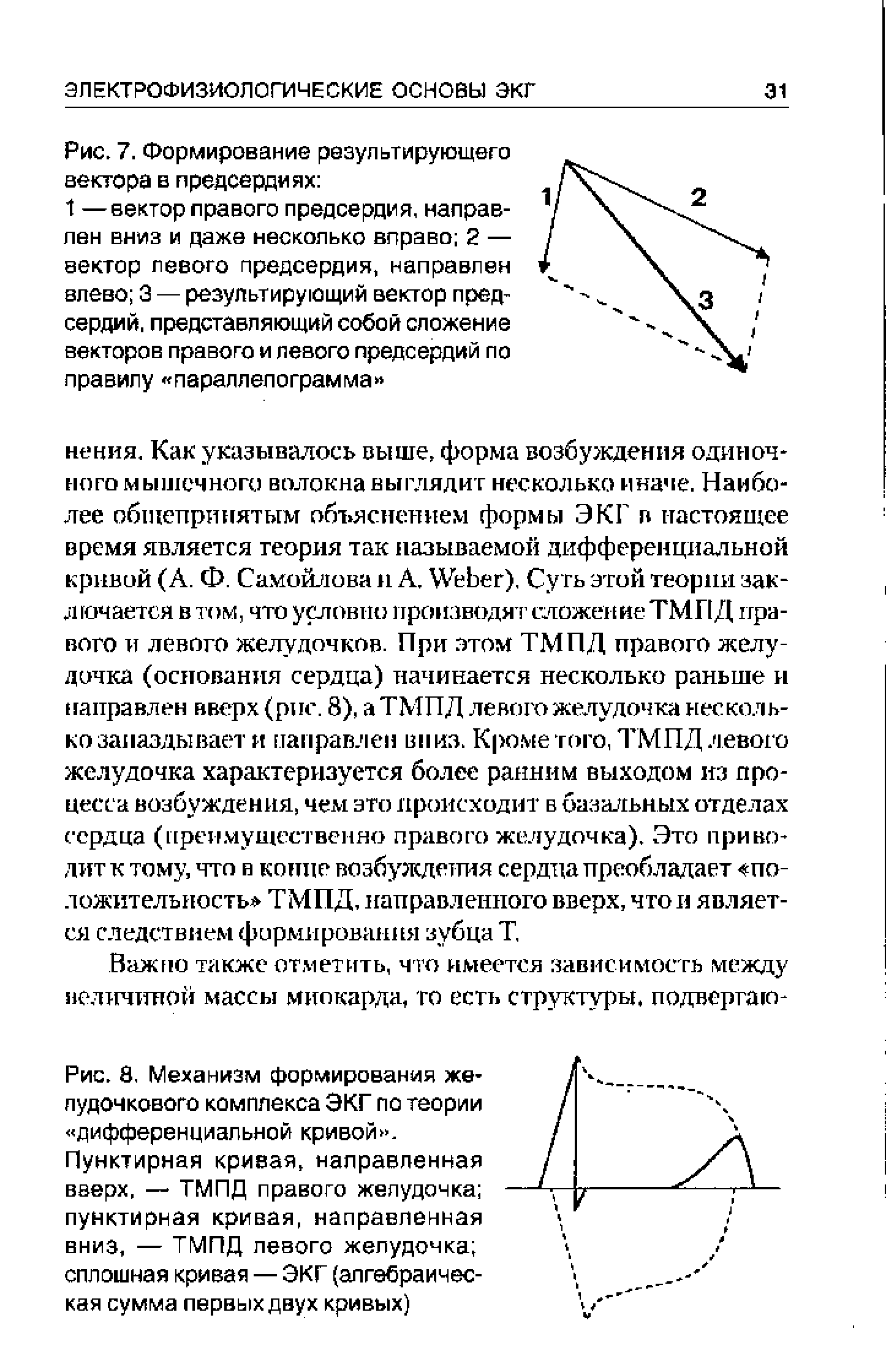 Рис. 8, Механизм формирования желудочкового комплекса ЭКГ по теории дифференциальной кривой .