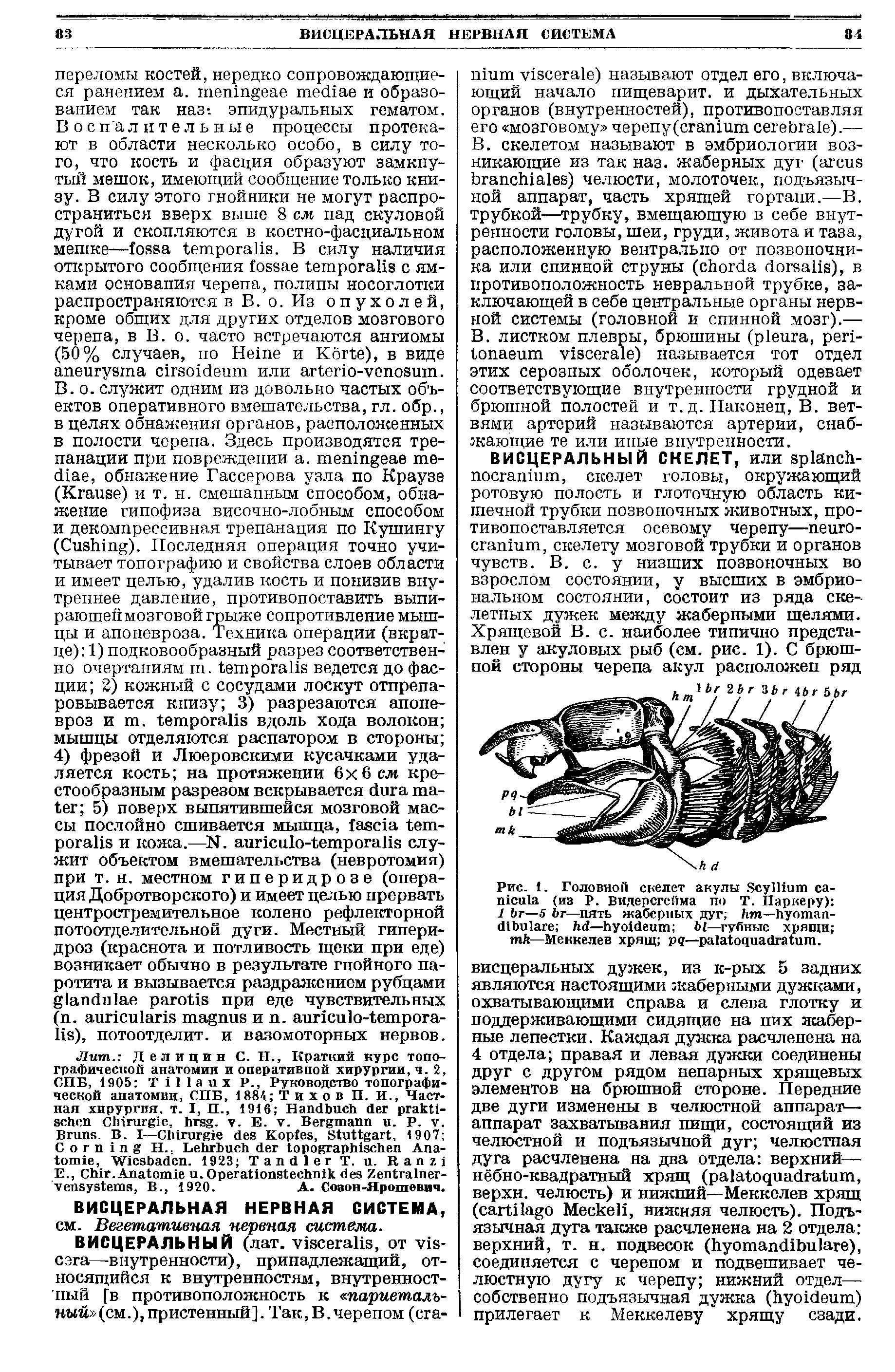 Рис. 1. Головной скелет акулы S (из Р. Видерсгсйма по Т. Паркеру) 1 Ьт—S Ьт—пять жаберных дуг — - — Ы—губные хрящи —Меккелев хрящ рд— .