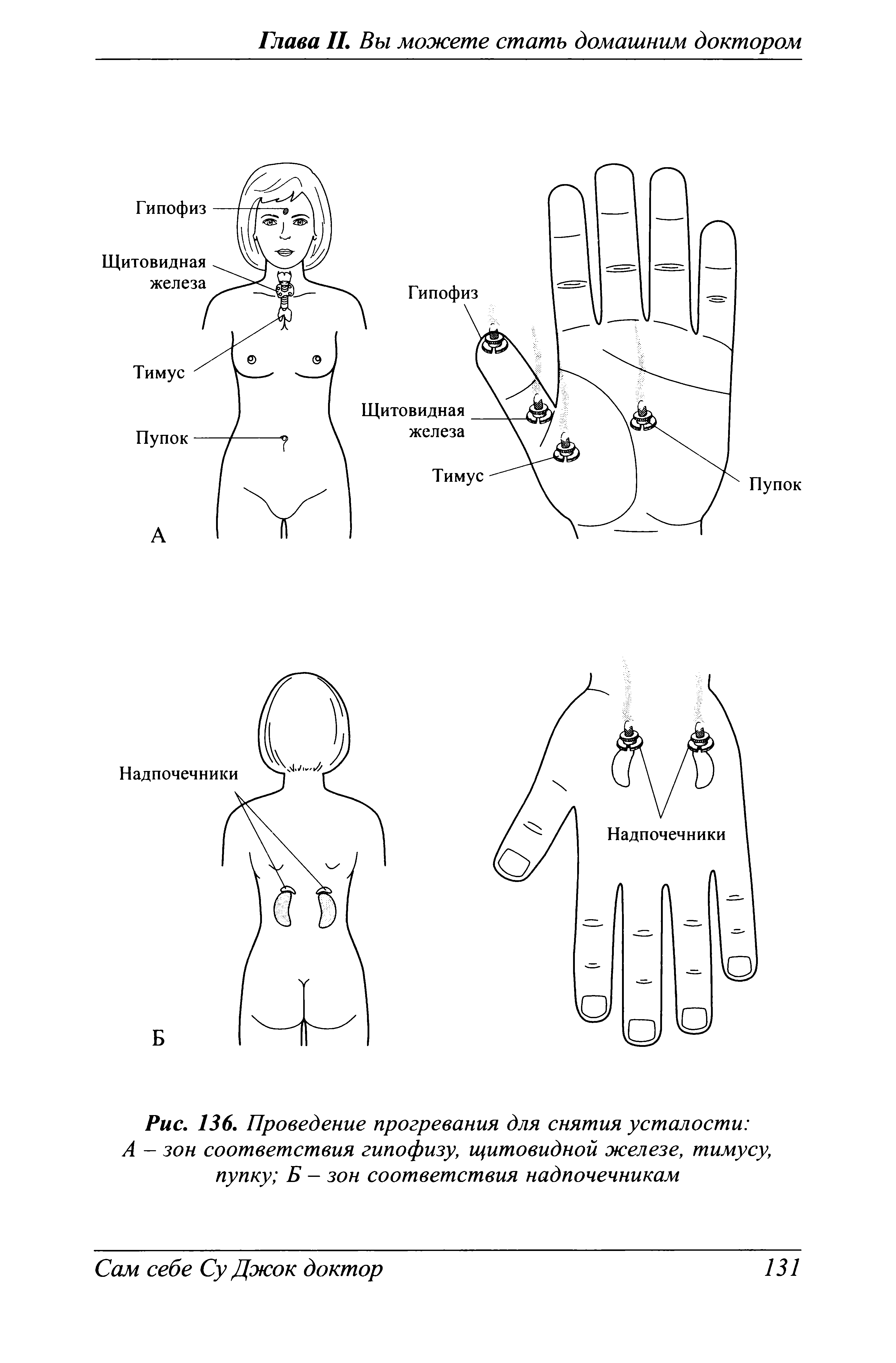 Рис. 136. Проведение прогревания для снятия усталости А - зон соответствия гипофизу, щитовидной железе, тимусу, пупку Б - зон соответствия надпочечникам...