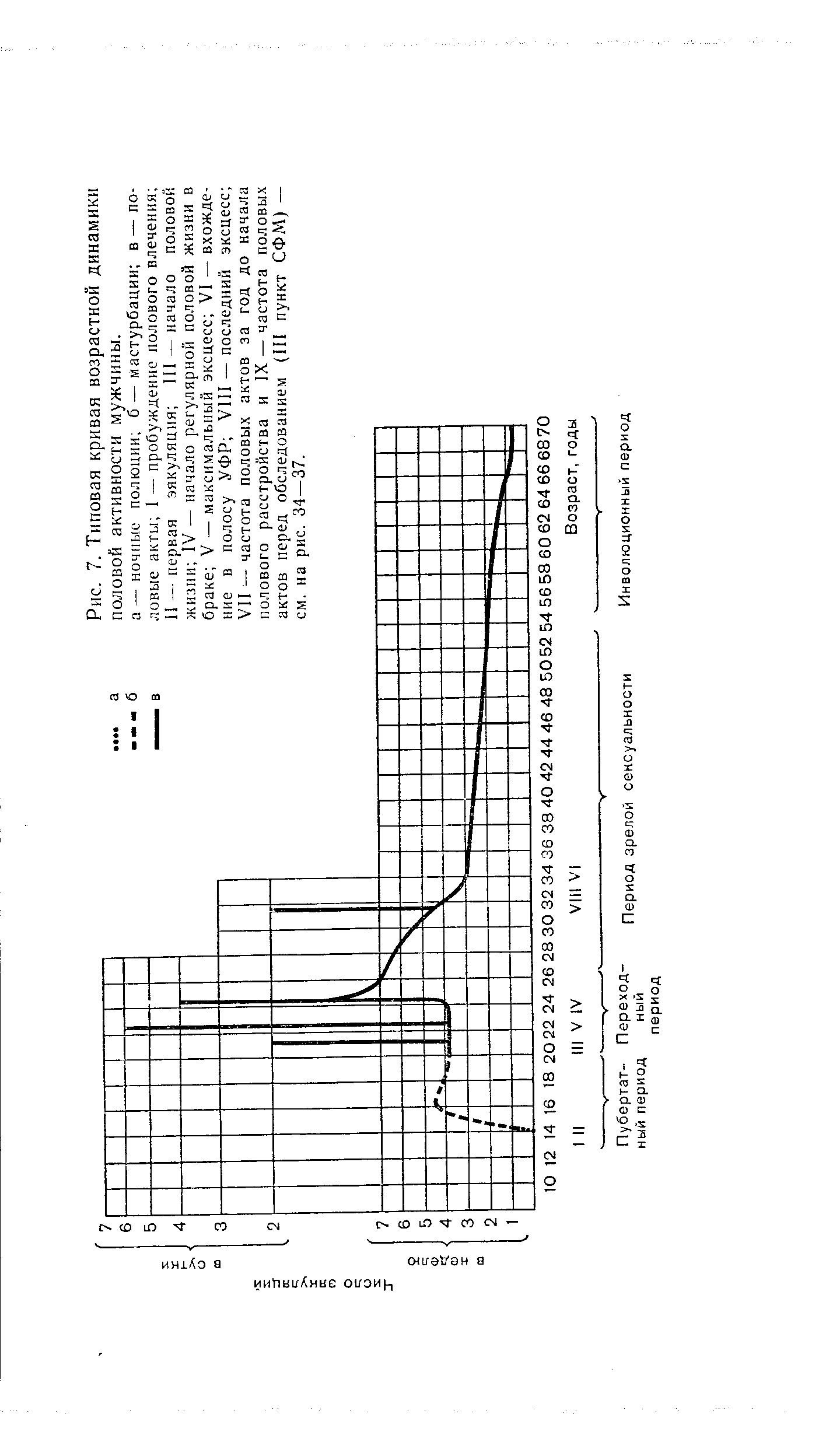 Рис. 7. Типовая кривая возрастной динамики половой активности мужчины.