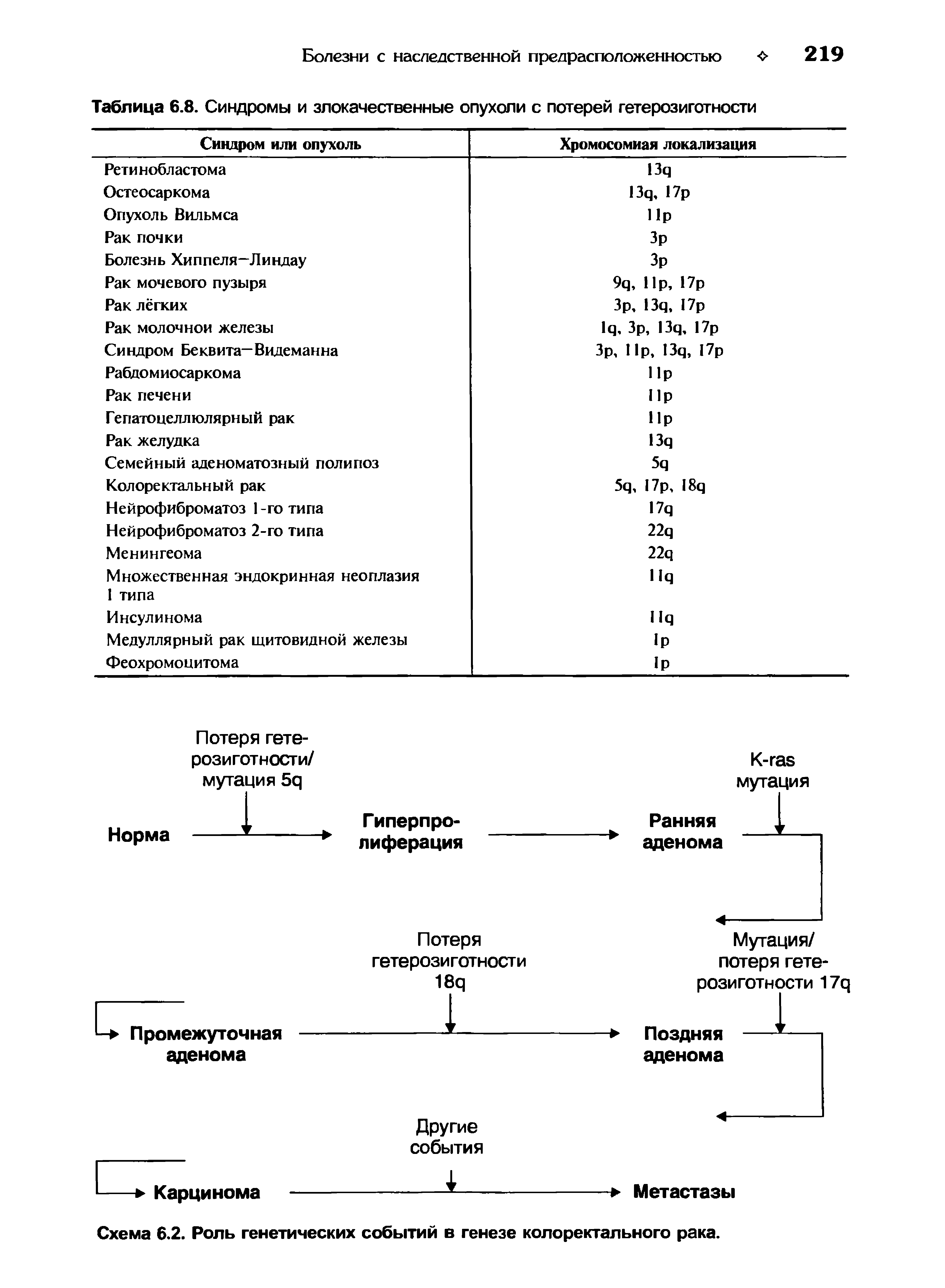 Таблица 6.8. Синдромы и злокачественные опухоли с потерей гетерозиготности...