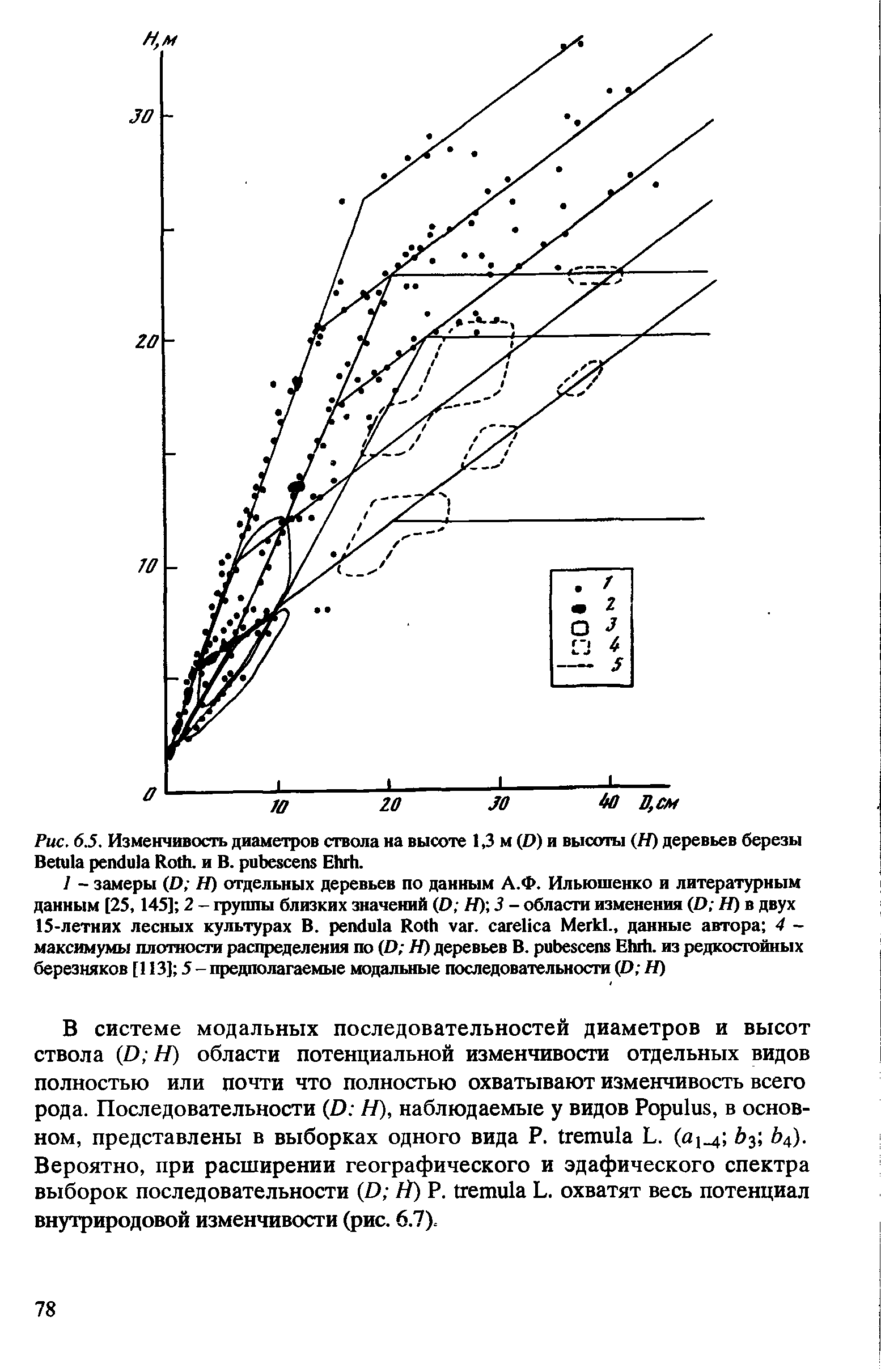 Рис. 6.5. Изменчивость диаметров ствола на высоте 1,3 м (D) и высоты (Я) деревьев березы B R , и В. E .