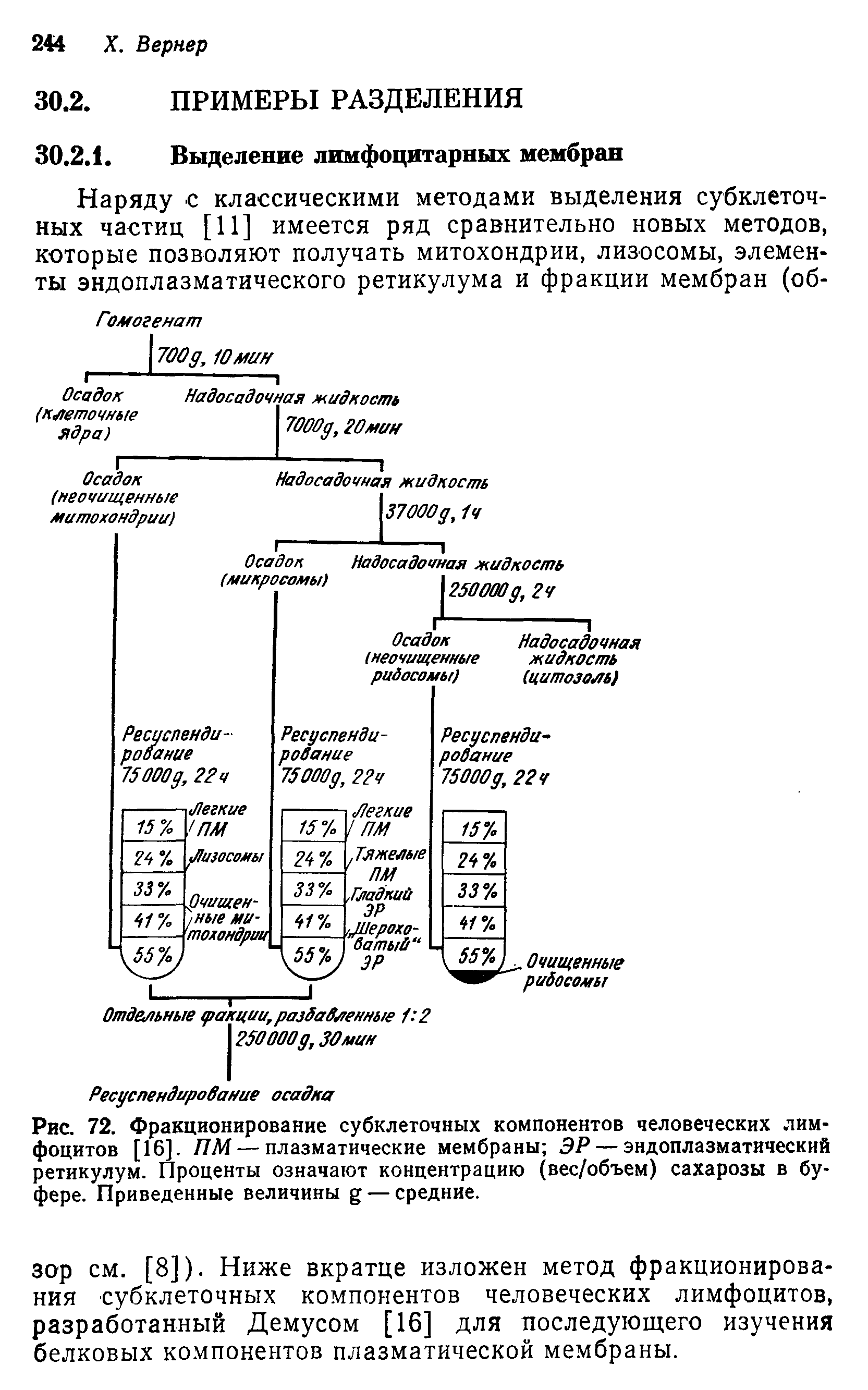 Рис. 72. Фракционирование субклеточных компонентов человеческих лимфоцитов [16]. ПМ — плазматические мембраны ЭР — эндоплазматический ретикулум. Проценты означают концентрацию (вес/объем) сахарозы в буфере. Приведенные величины — средние.