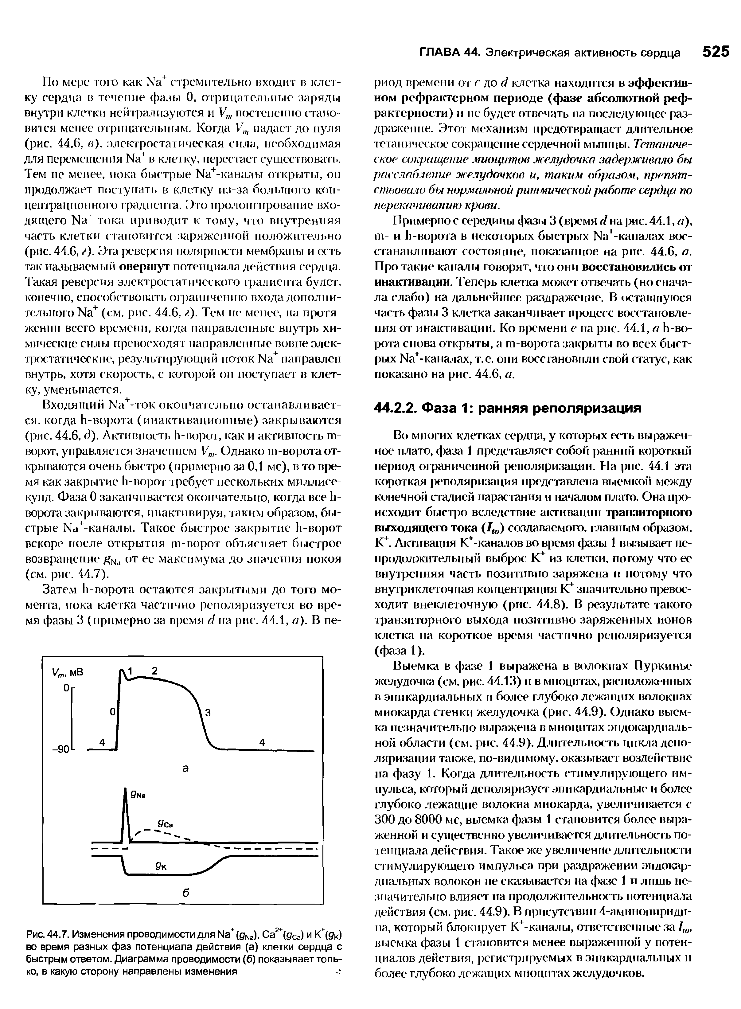 Рис. 44.7. Изменения проводимости для № (д а), Са2+(дСа) и К (9к) во время разных фаз потенциала действия (а) клетки сердца с быстрым ответом. Диаграмма проводимости (б) показывает только, в какую сторону направлены изменения -г...