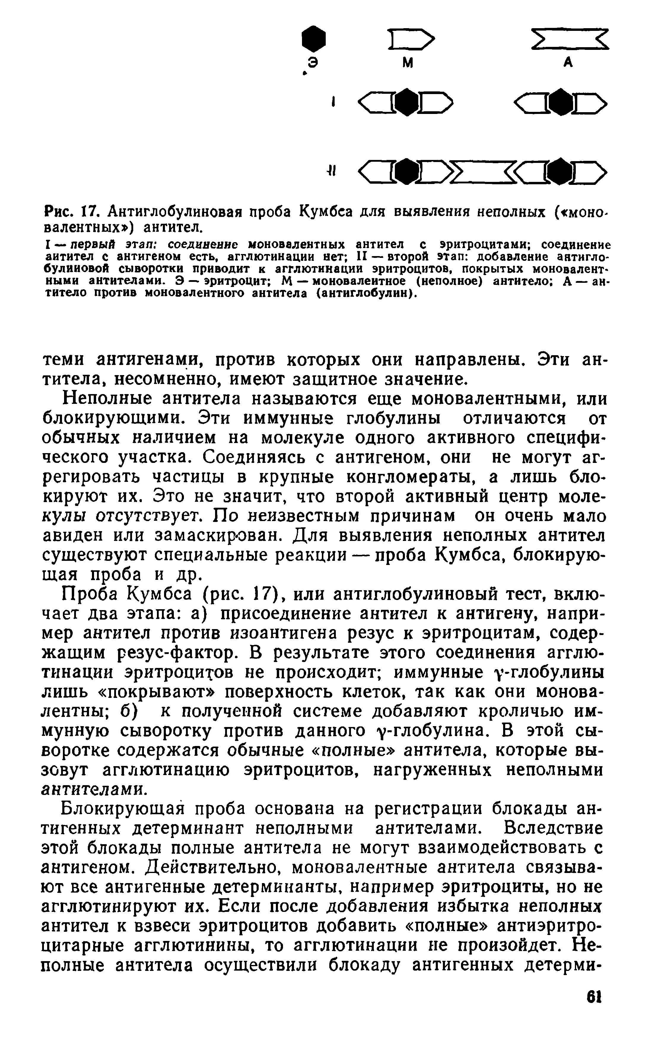 Рис. 17. Антиглобулиновая проба Кумбса для выявления неполных ( моновалентных ) антител.