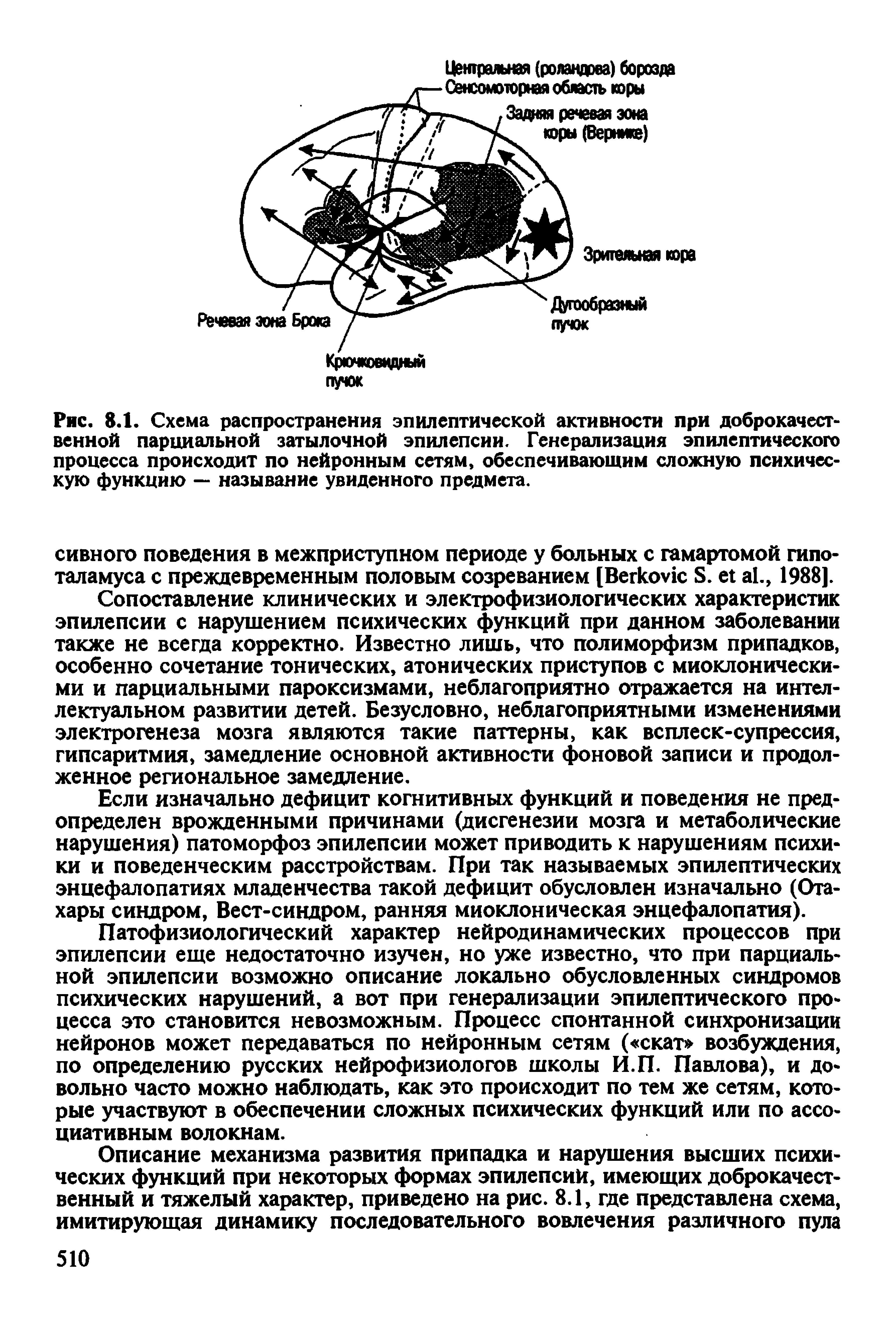 Рис. 8.1. Схема распространения эпилептической активности при доброкачественной парциальной затылочной эпилепсии. Генерализация эпилептического процесса происходит по нейронным сетям, обеспечивающим сложную психичес-...