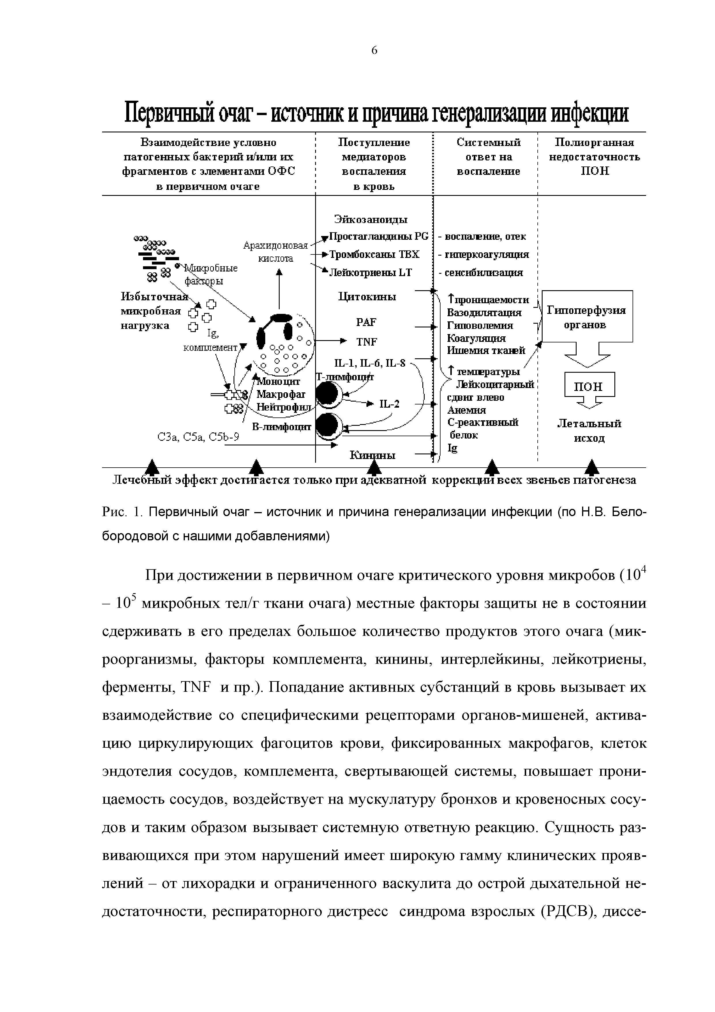 Рис. 1. Первичный очаг - источник и причина генерализации инфекции (по Н.В. Белобородовой с нашими добавлениями)...