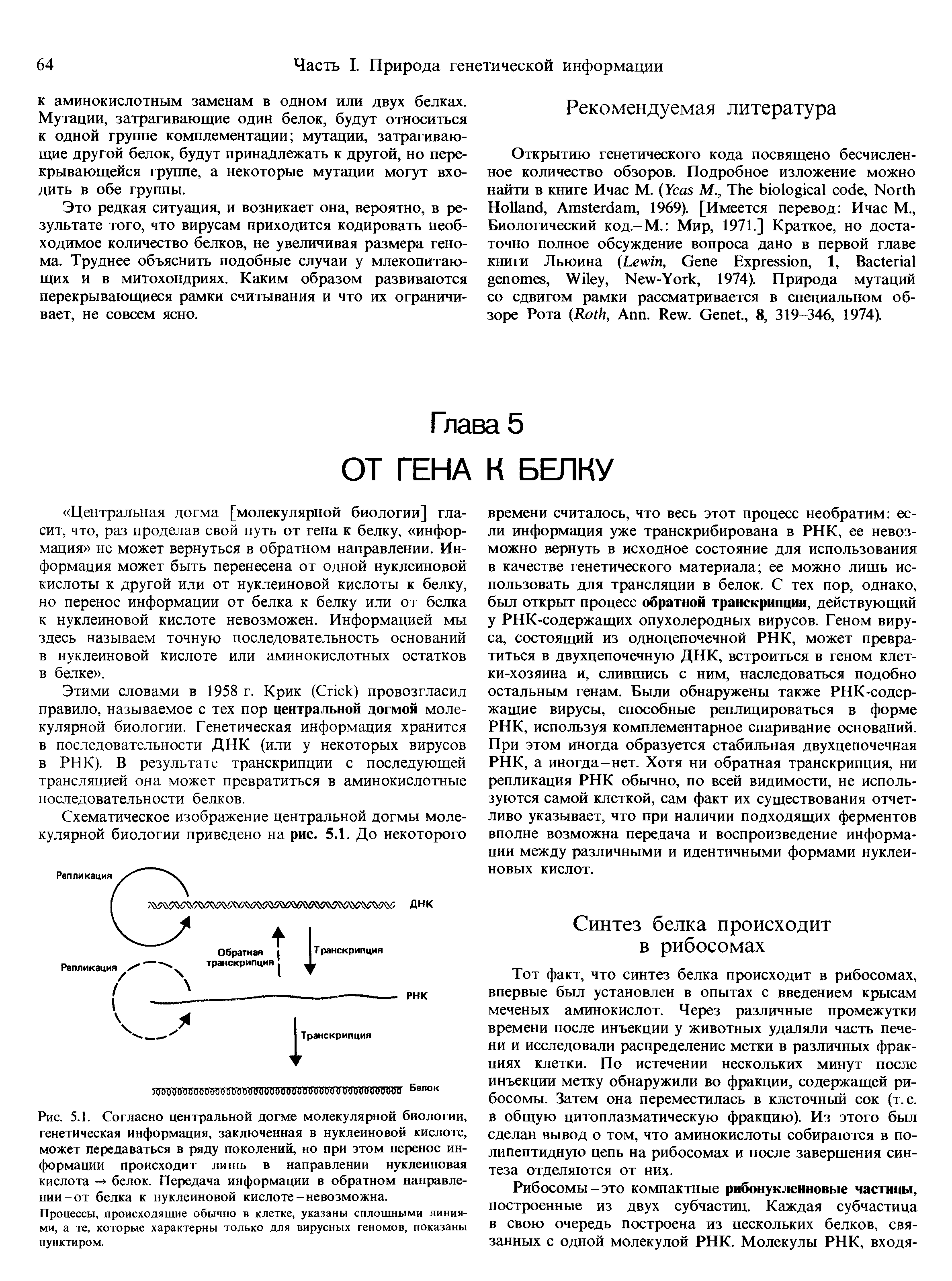 Рис. 5.1. Согласно центральной догме молекулярной биологии, генетическая информация, заключенная в нуклеиновой кислоте, может передаваться в ряду поколений, но при этом перенос информации происходит лишь в направлении нуклеиновая кислота -> белок. Передача информации в обратном направлении-от белка к нуклеиновой кислоте-невозможна.