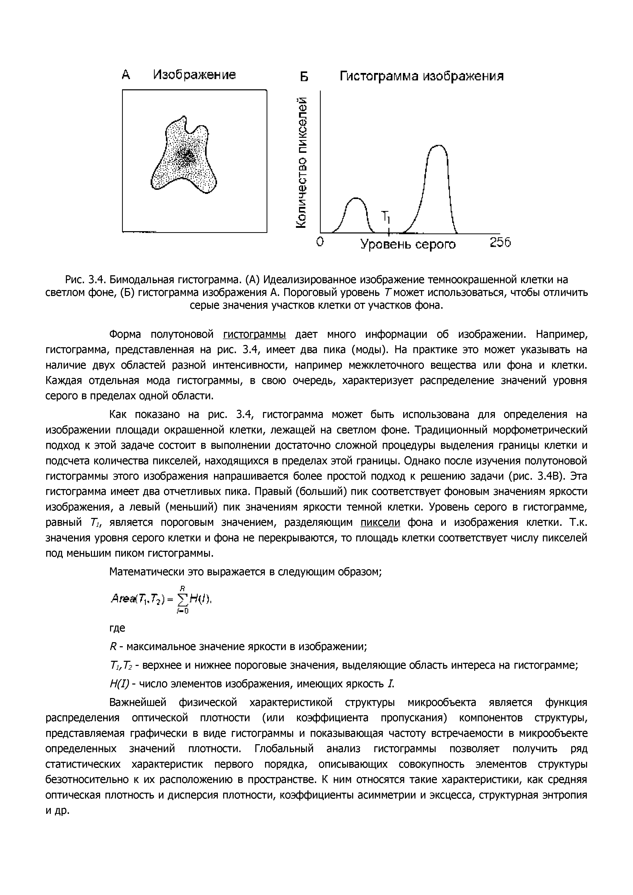 Рис. 3.4. Бимодальная гистограмма. (А) Идеализированное изображение темноокрашенной клетки на светлом фоне, (Б) гистограмма изображения А. Пороговый уровень Тможет использоваться, чтобы отличить серые значения участков клетки от участков фона.