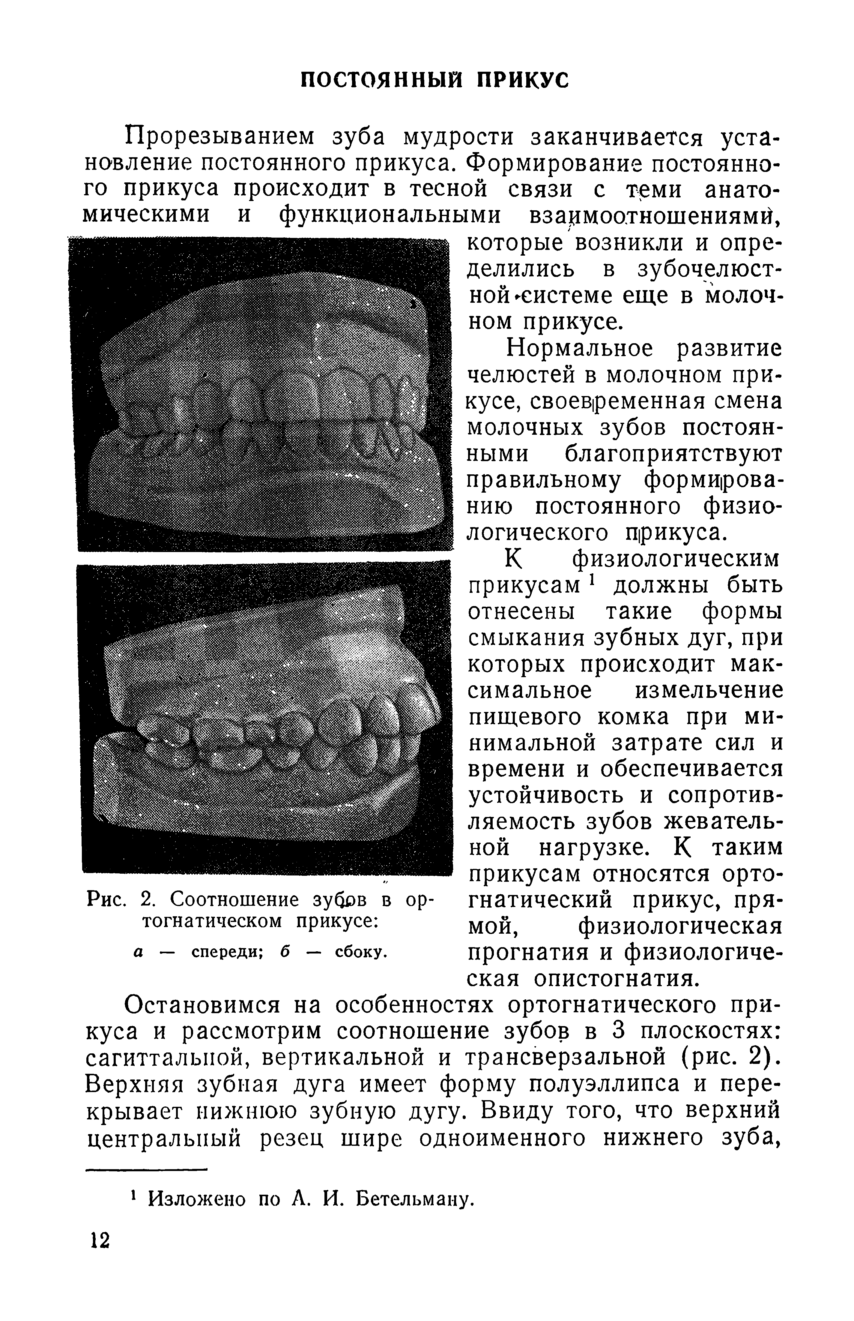 Рис. 2. Соотношение зубов в ортогнатическом прикусе а — спереди б — сбоку.