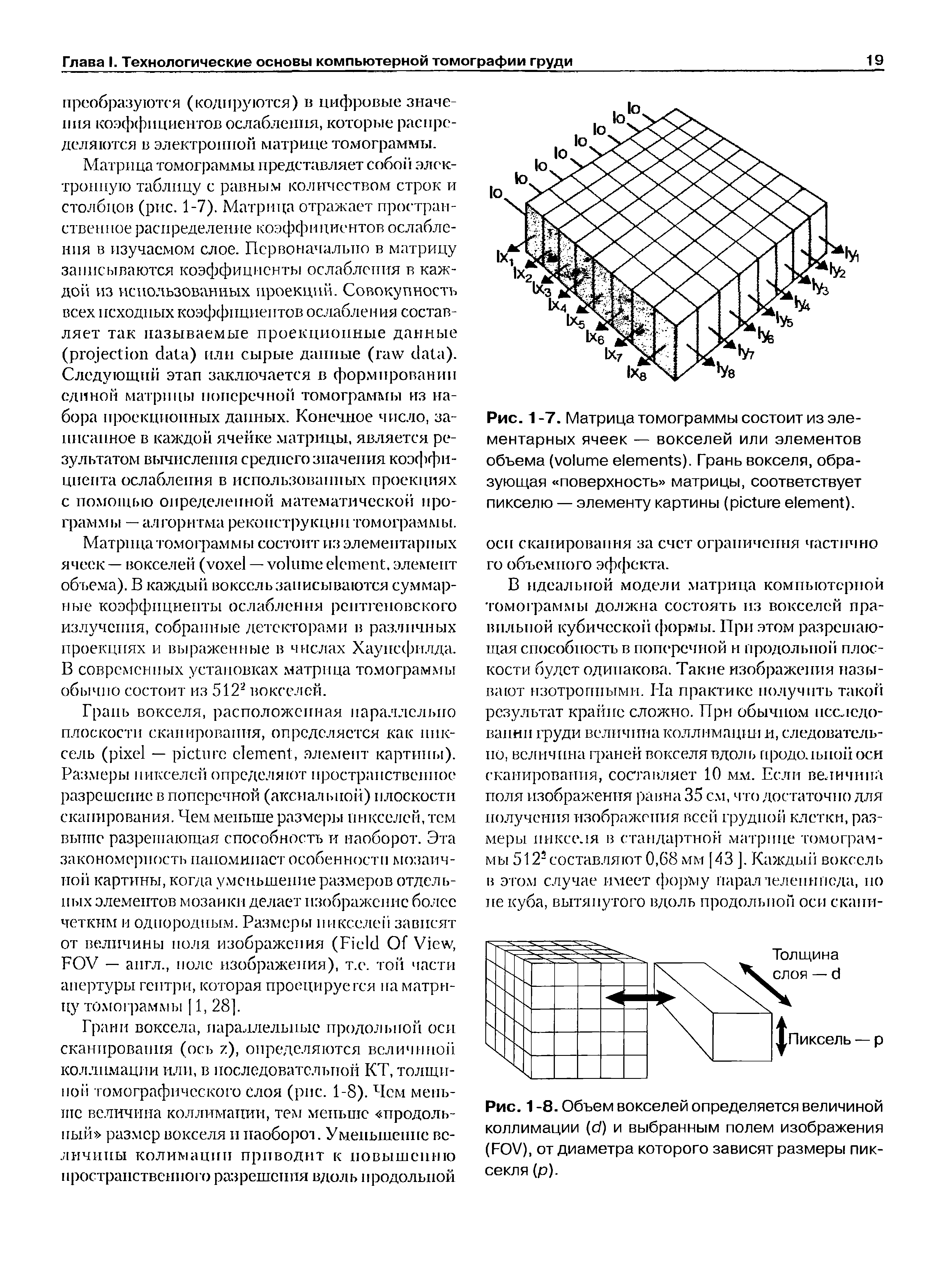 Рис. 1 -7. Матрица томограммы состоит из элементарных ячеек — вокселей или элементов объема ( ). Грань вокселя, образующая поверхность матрицы, соответствует пикселю — элементу картины ( ).