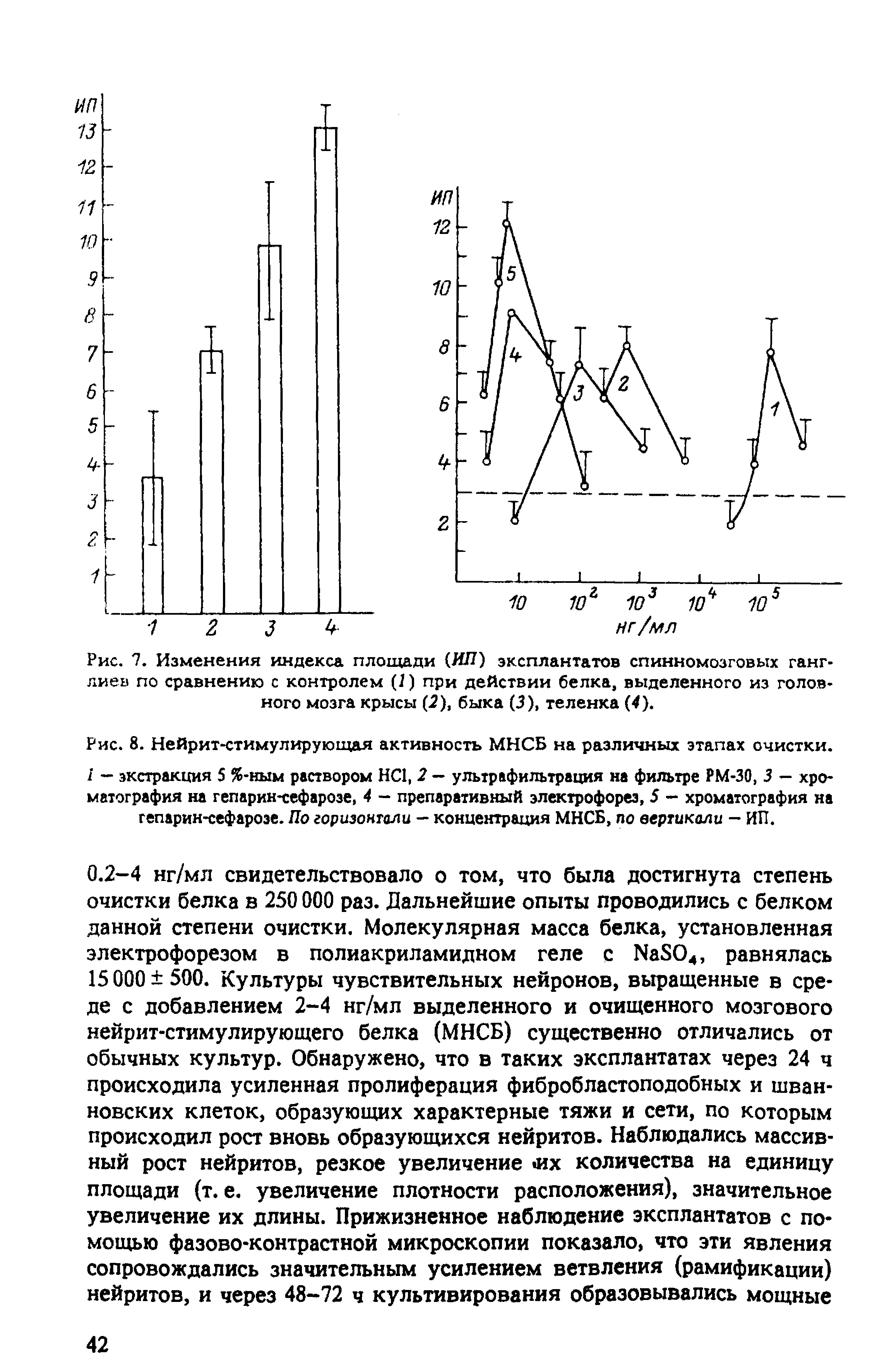 Рис. 8. Нейрит-стимулирующая активность МНСБ на различных этапах очистки. I — экстракция 5 %-ным раствором НС1, 2 — ультрафильтрация на фильтре РМ-30, 3 — хроматография на гепарин-сефарозе, 4 — препаративный электрофорез, 5 — хроматография на гепарин-сефарозе. По горизонтали — концентрация МНСБ, по вертикали — ИП.