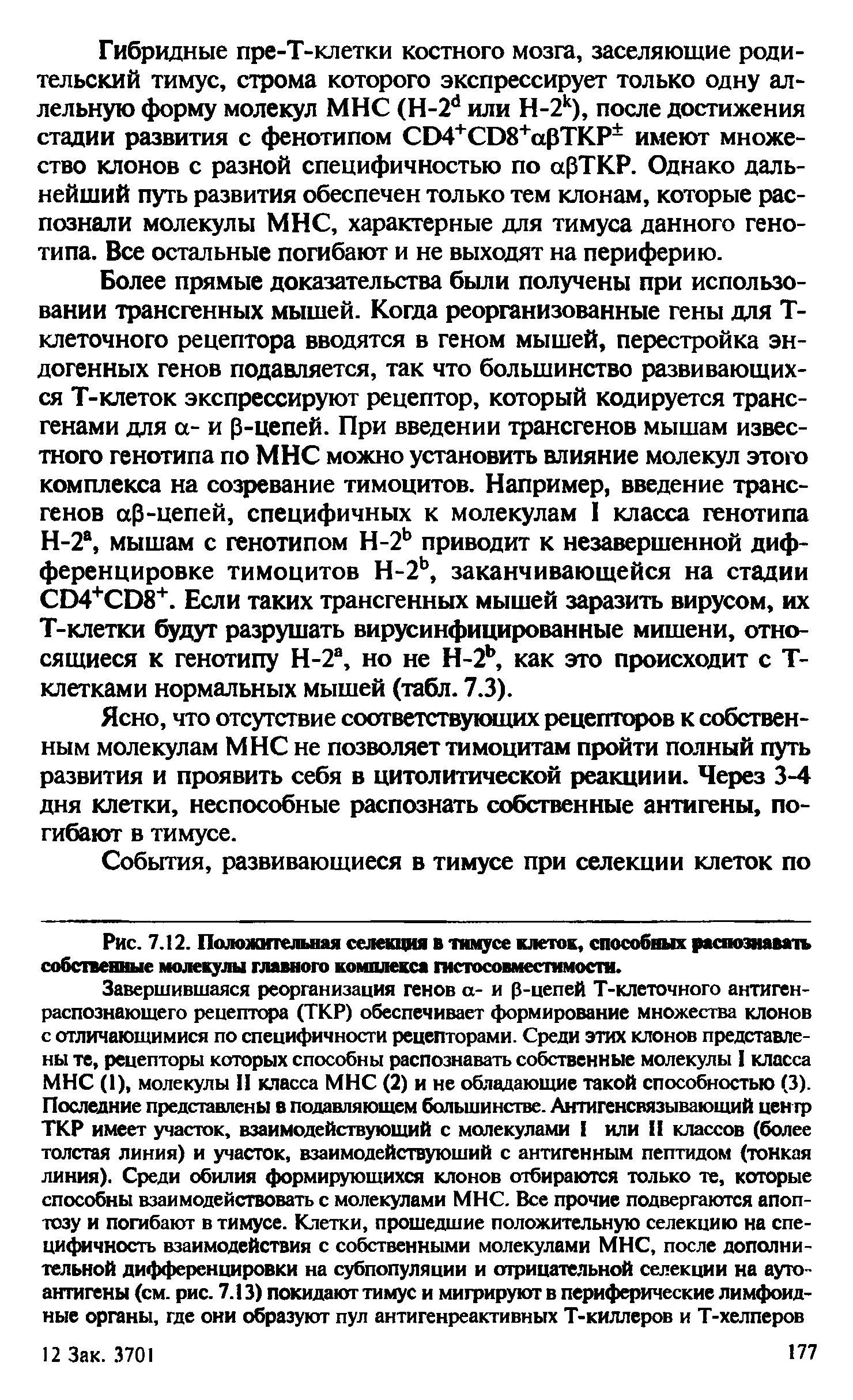 Рис. 7.12. Положительная селекция в тимусе клеток, способных распознавать собственные молекулы главного комплекса гистосовместимости.