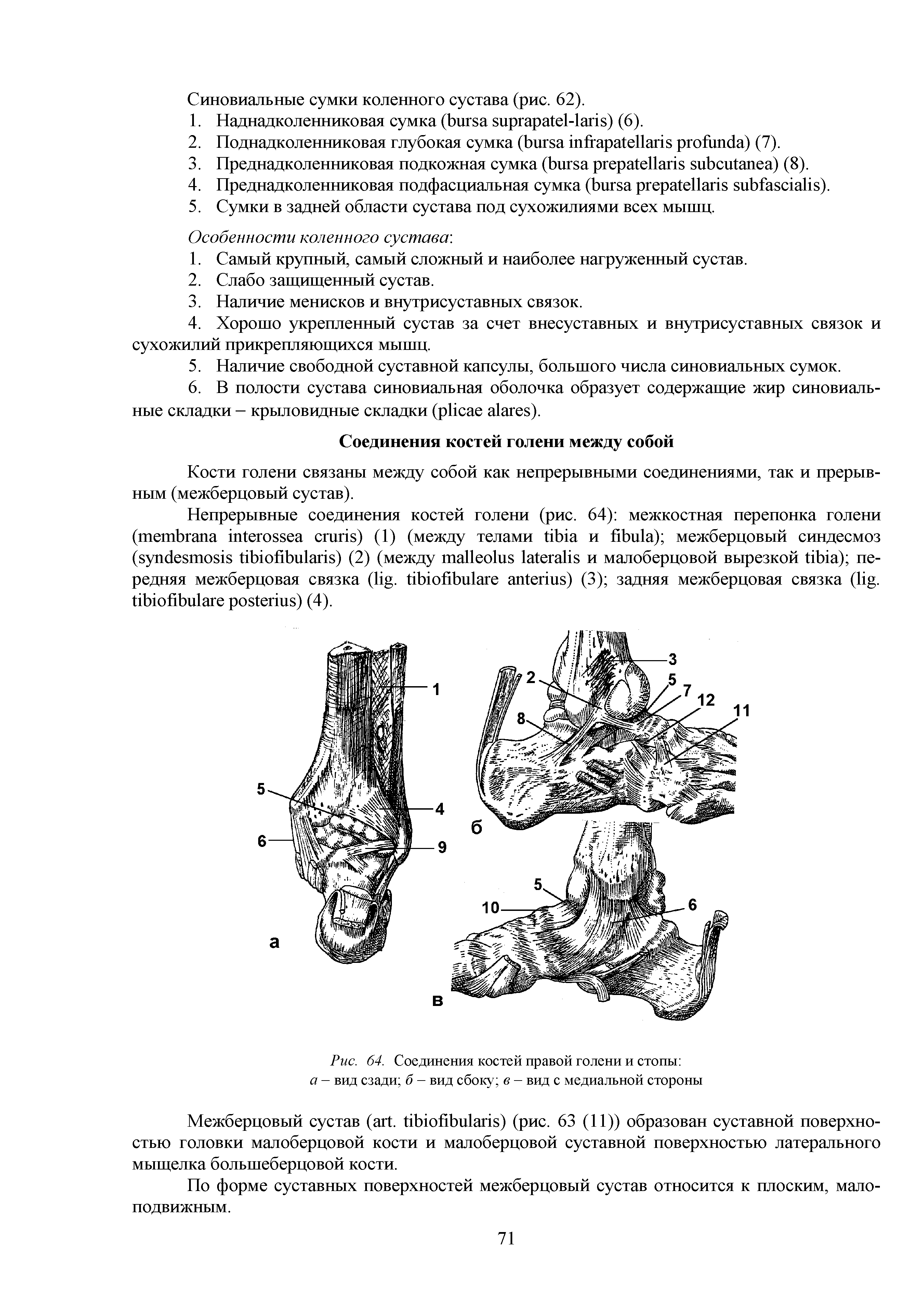 Рис. 64. Соединения костей правой голени и стопы а — вид сзади б — вид сбоку в — вид с медиальной стороны...