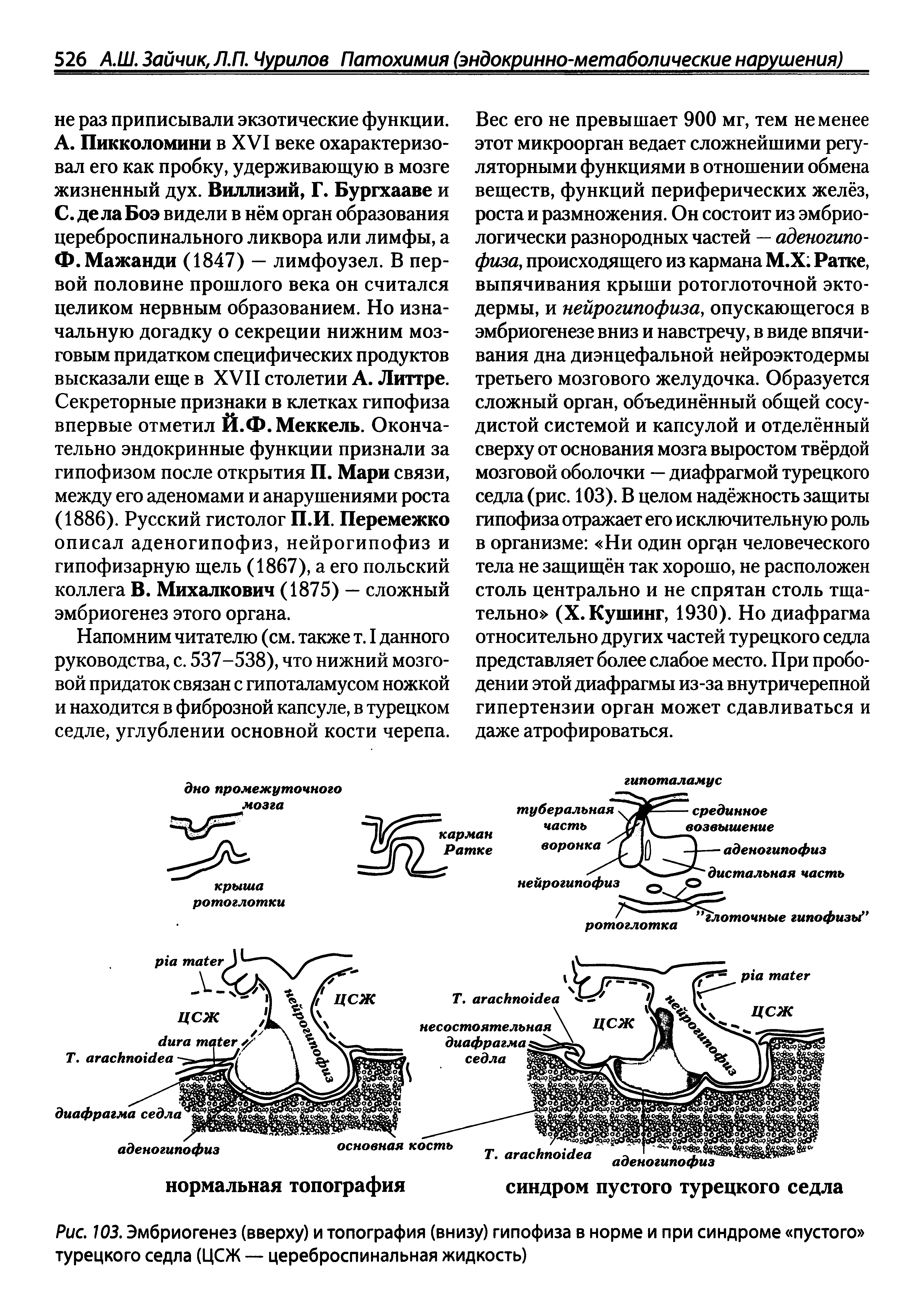 Рис. 103. Эмбриогенез (вверху) и топография (внизу) гипофиза в норме и при синдроме пустого турецкого седла (ЦСЖ — цереброспинальная жидкость)...