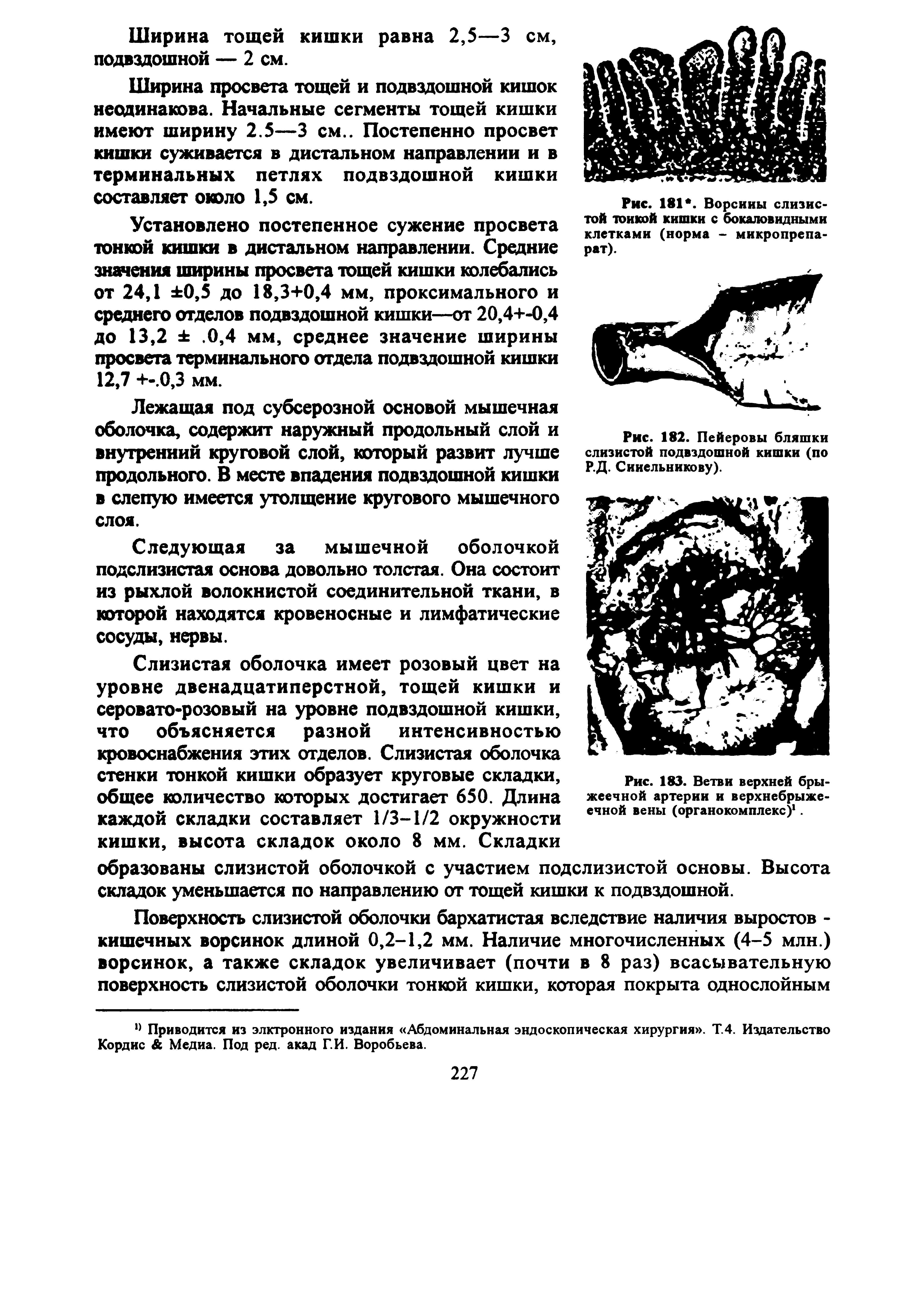 Рис. 182. Пейеровы бляшки слизистой подвздошной кишки (по Р.Д. Синельникову).