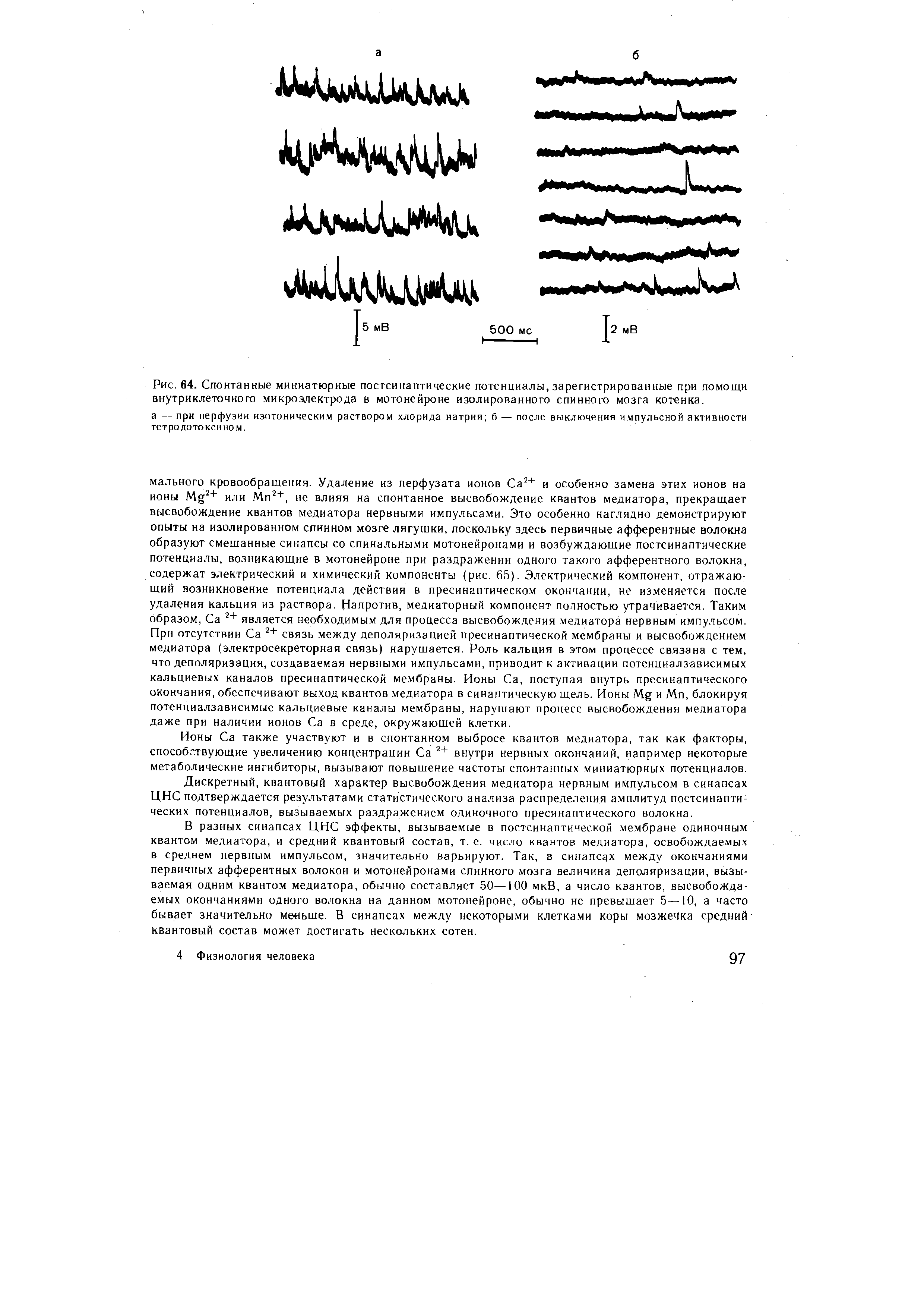 Рис. 64. Спонтанные миниатюрные постсинаптические потенциалы, зарегистрированные при помощи внутриклеточного микроэлектрода в мотонейроне изолированного спинного мозга котенка.