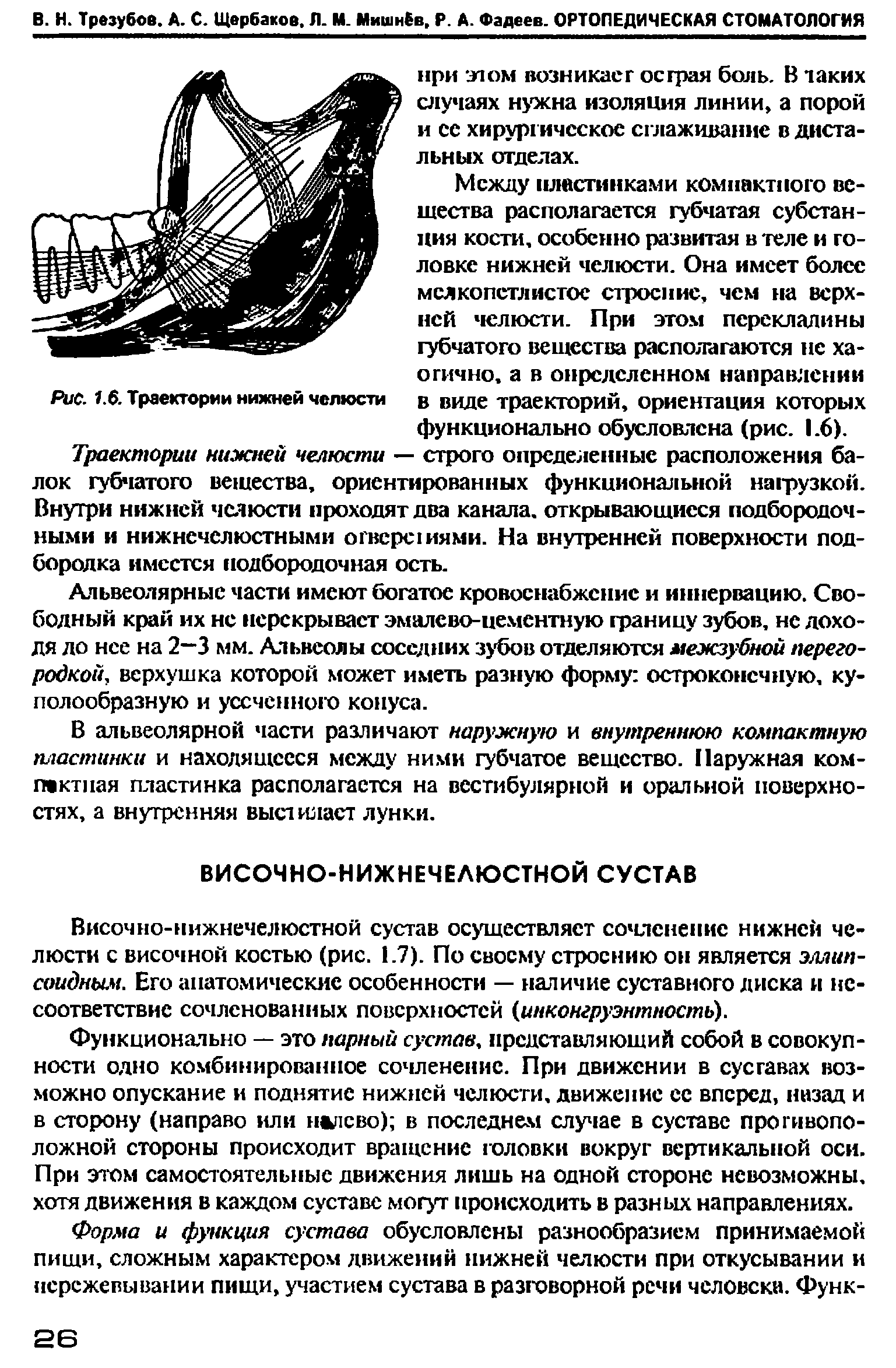 Рис. 1.6. Траектории нижней челюсти в виде траекторий, ориентация которых функционально обусловлена (рис. 1.6).