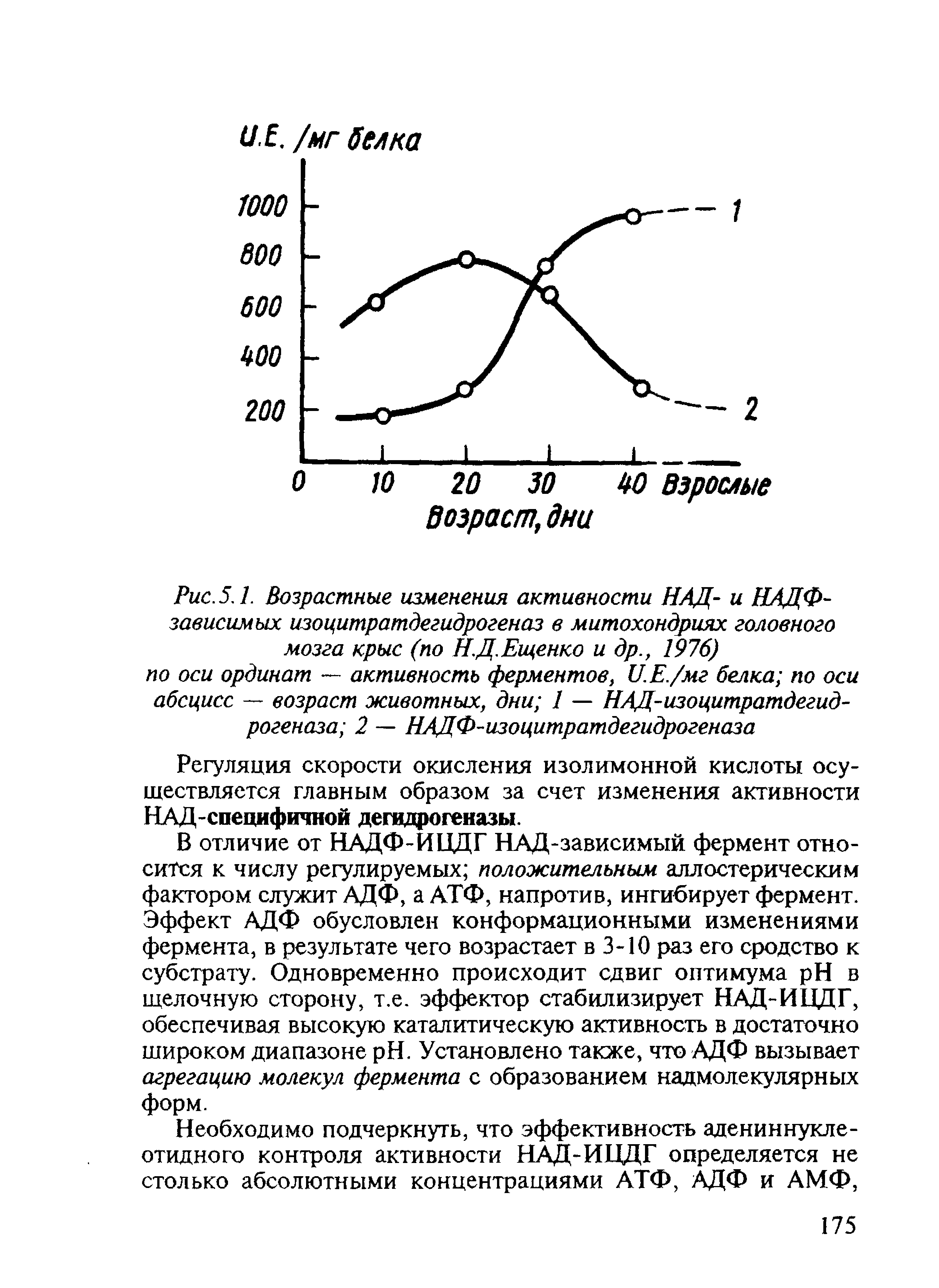 Рис. 5.1. Возрастные изменения активности НАД- и НАДФ-зависимых изоцитратдегидрогеназ в митохондриях головного мозга крыс (по НД.Ещенко и др., 1976)...