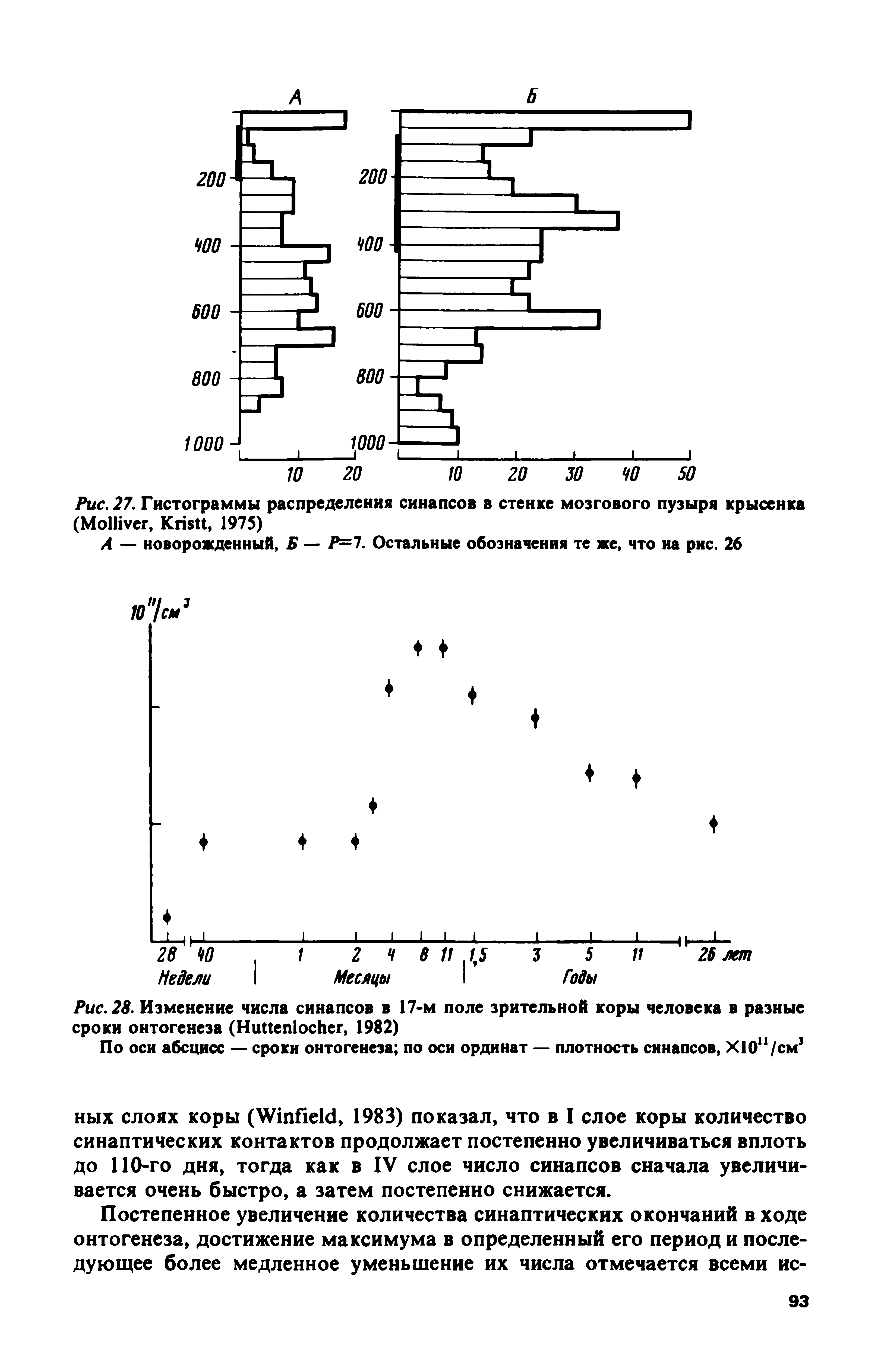 Рис. 28. Изменение числа синапсов в 17-м поле зрительной коры человека в разные сроки онтогенеза (H , 1982)...