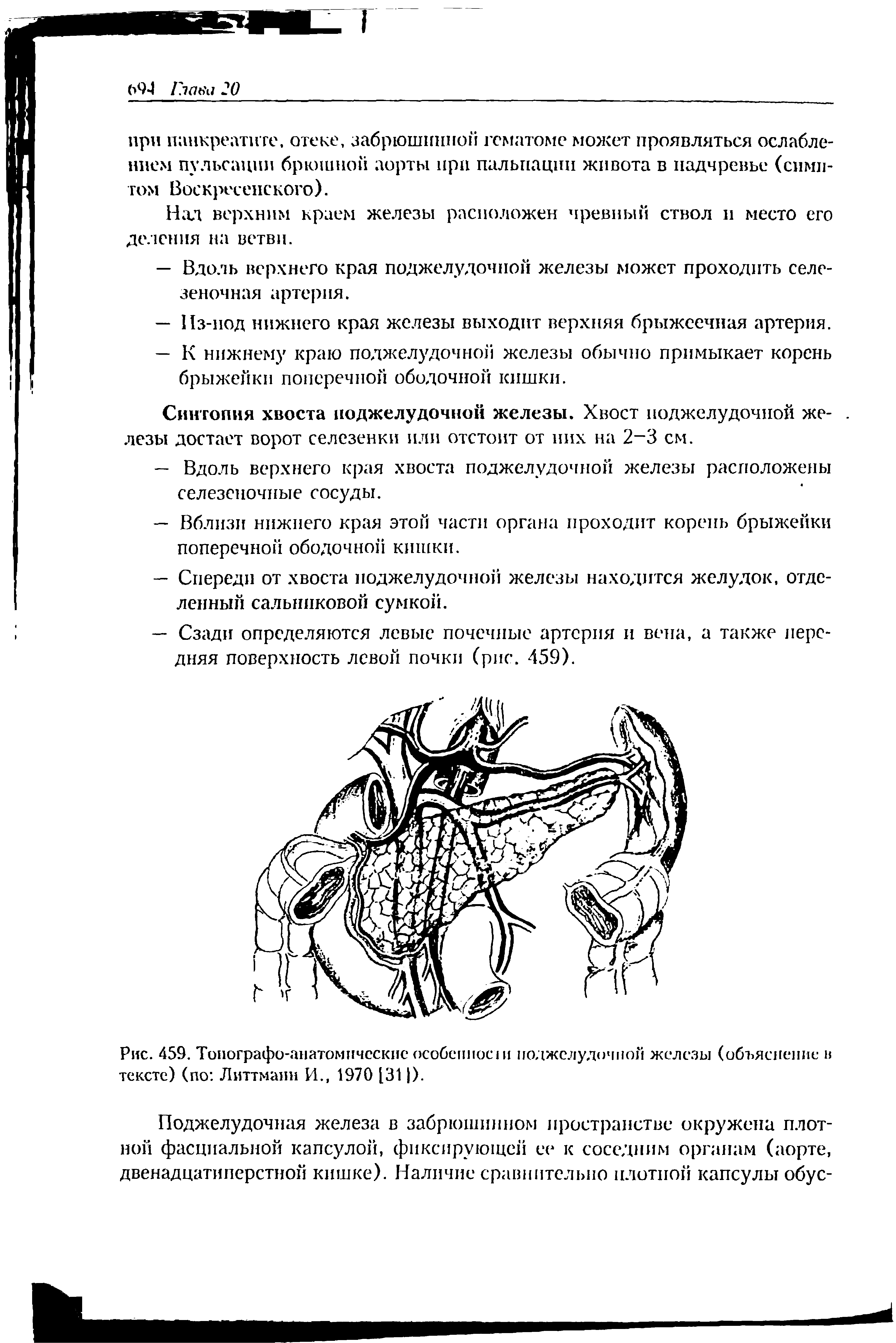 Рис. 459. Топографо-анатомические особенное и поджелудочной железы (объяснение в тексте) (по Литтманн И., 1970 [311).